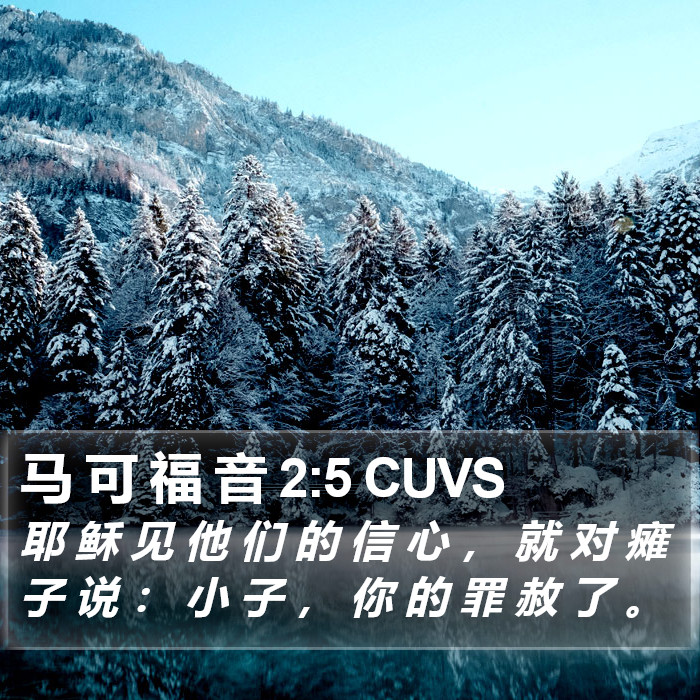 马 可 福 音 2:5 CUVS Bible Study