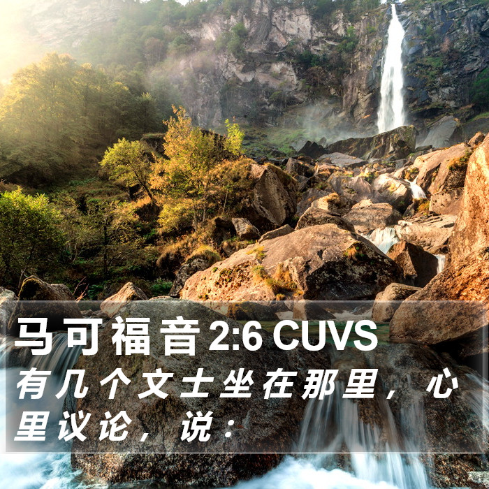 马 可 福 音 2:6 CUVS Bible Study