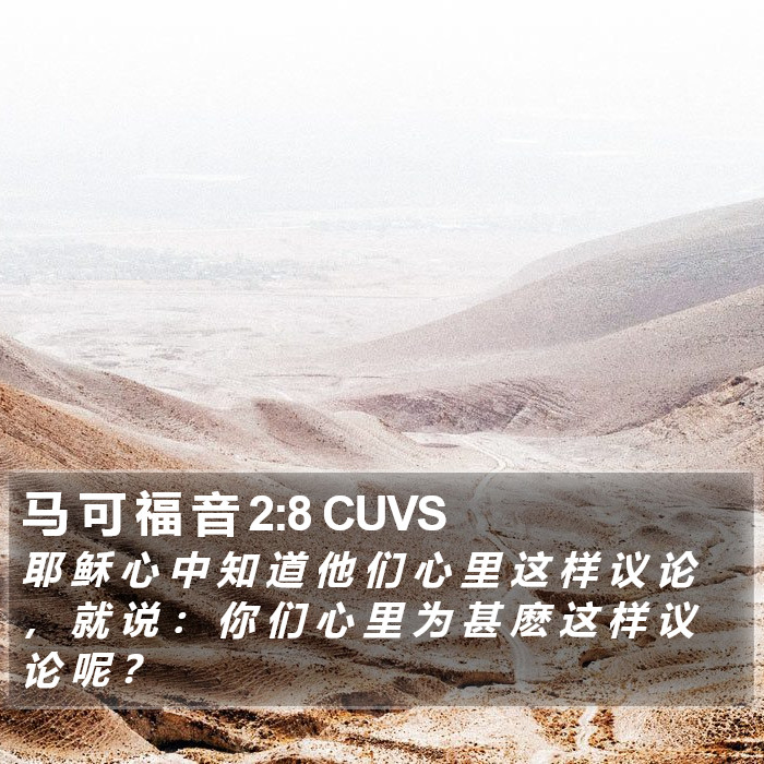 马 可 福 音 2:8 CUVS Bible Study