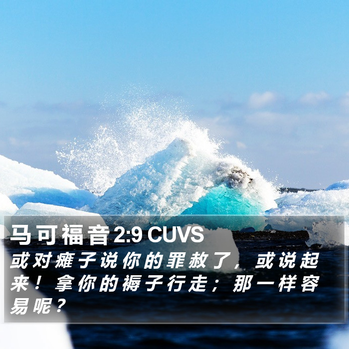 马 可 福 音 2:9 CUVS Bible Study