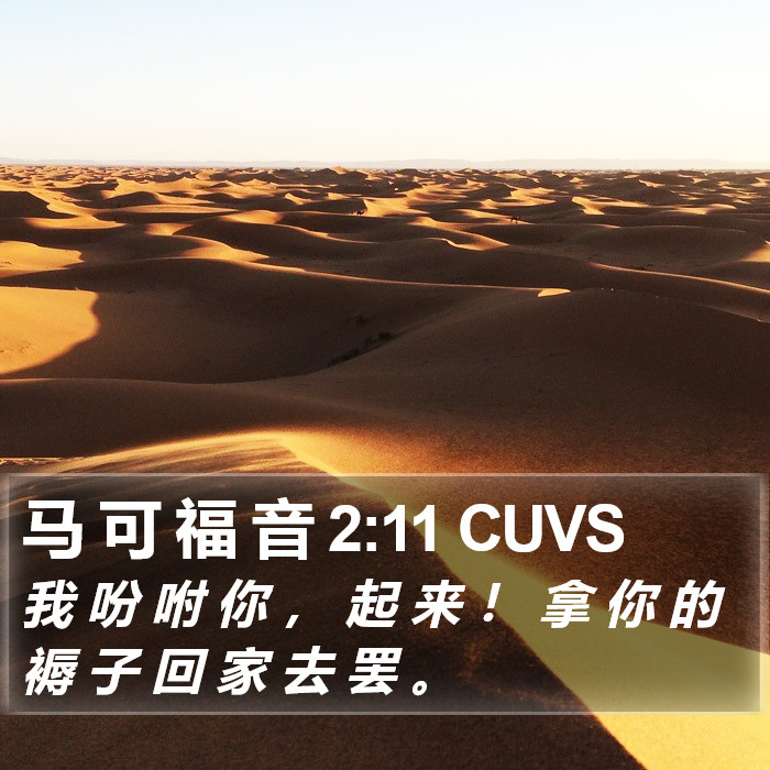 马 可 福 音 2:11 CUVS Bible Study