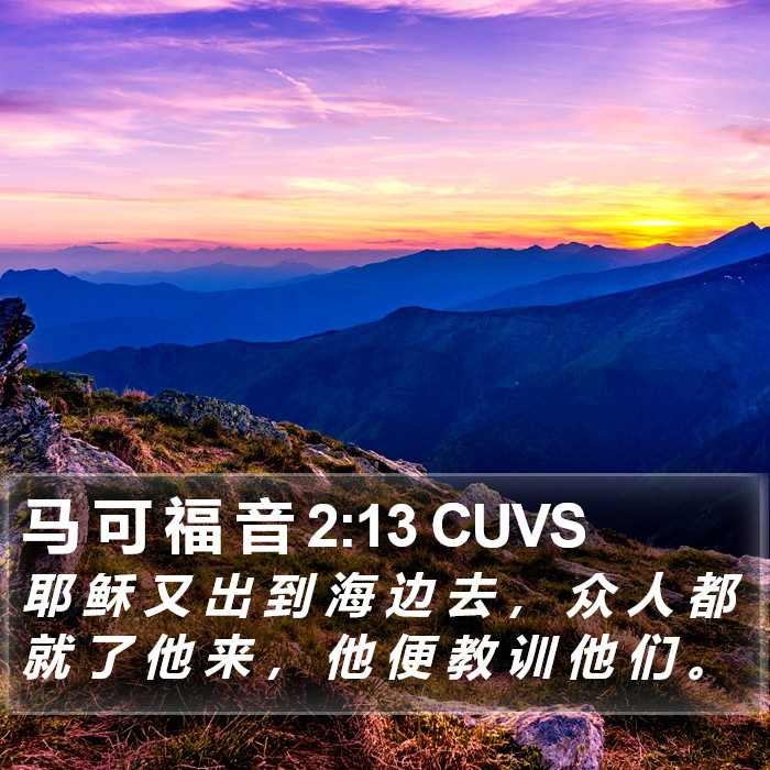 马 可 福 音 2:13 CUVS Bible Study