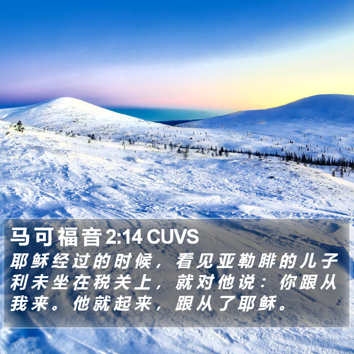 马 可 福 音 2:14 CUVS Bible Study