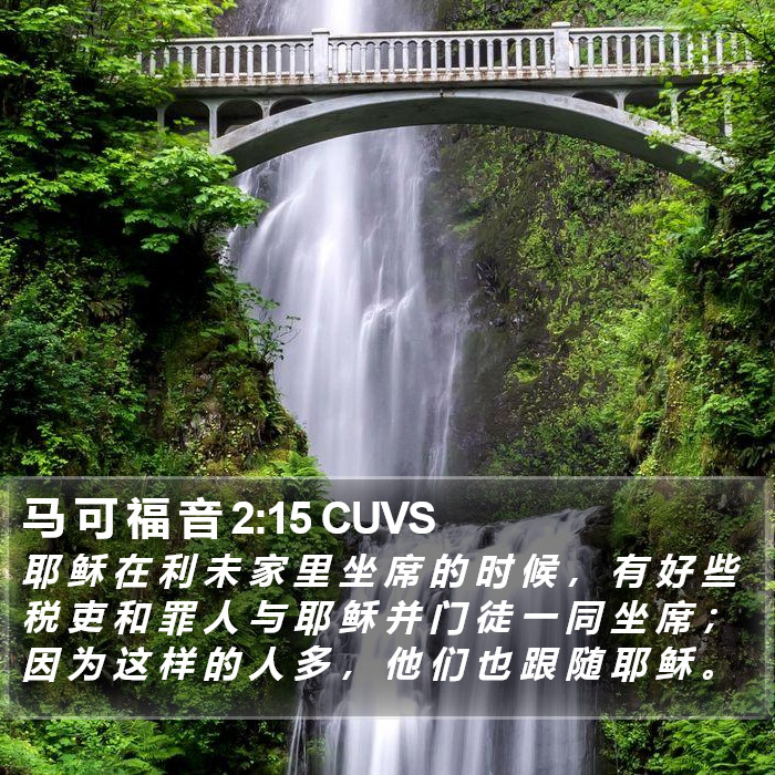 马 可 福 音 2:15 CUVS Bible Study