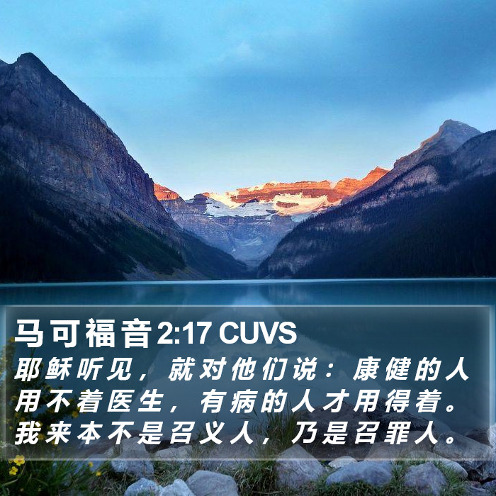 马 可 福 音 2:17 CUVS Bible Study