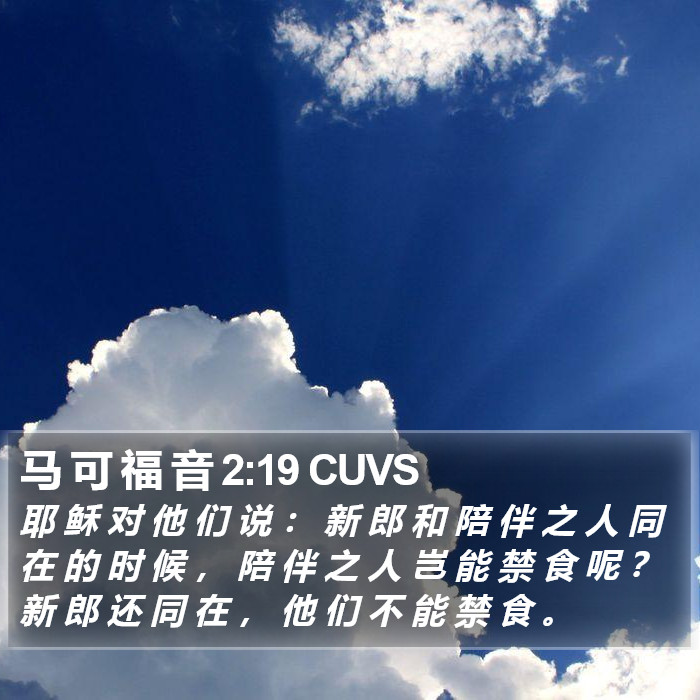 马 可 福 音 2:19 CUVS Bible Study