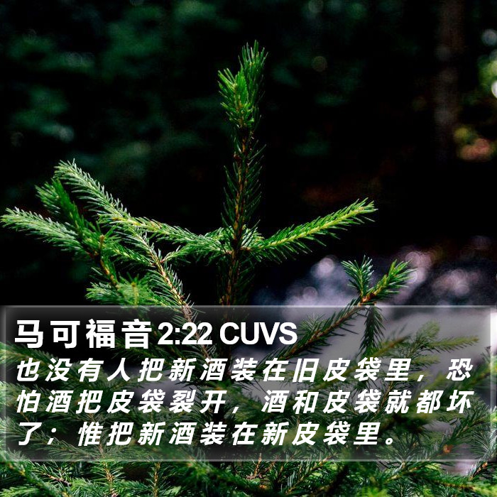 马 可 福 音 2:22 CUVS Bible Study