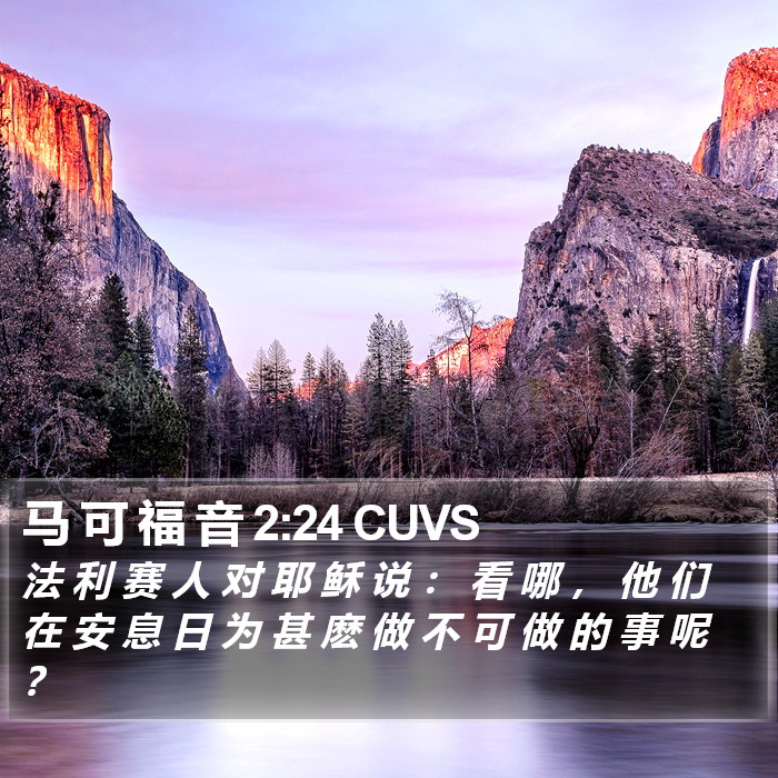 马 可 福 音 2:24 CUVS Bible Study