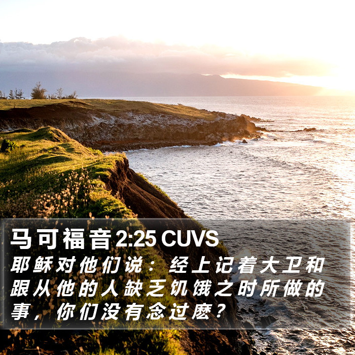 马 可 福 音 2:25 CUVS Bible Study