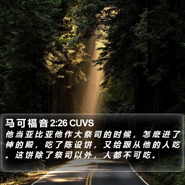 马 可 福 音 2:26 CUVS Bible Study