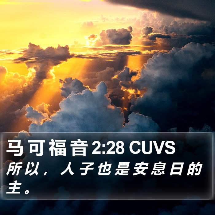 马 可 福 音 2:28 CUVS Bible Study