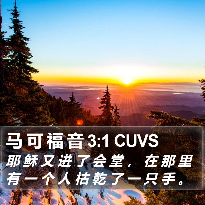 马 可 福 音 3:1 CUVS Bible Study