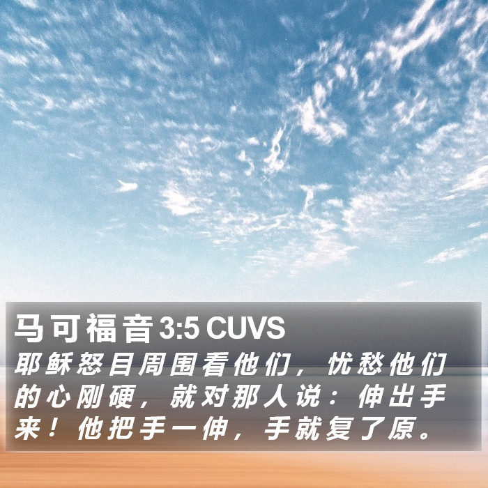 马 可 福 音 3:5 CUVS Bible Study