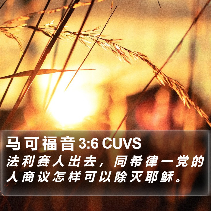 马 可 福 音 3:6 CUVS Bible Study