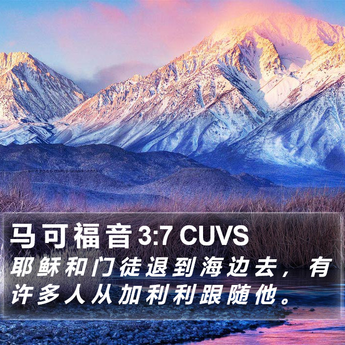 马 可 福 音 3:7 CUVS Bible Study