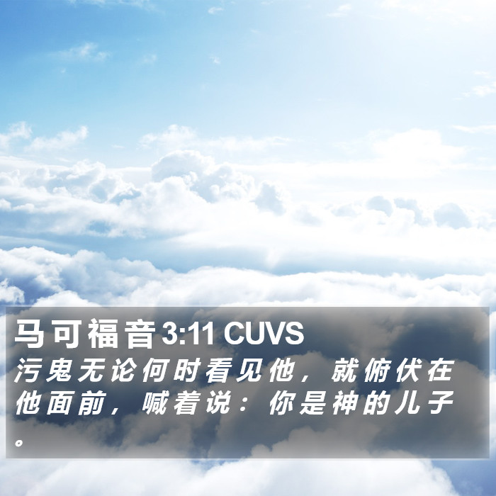 马 可 福 音 3:11 CUVS Bible Study