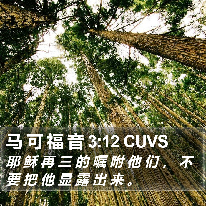 马 可 福 音 3:12 CUVS Bible Study