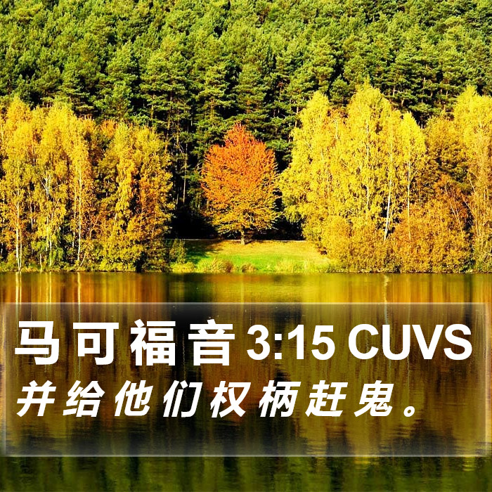 马 可 福 音 3:15 CUVS Bible Study