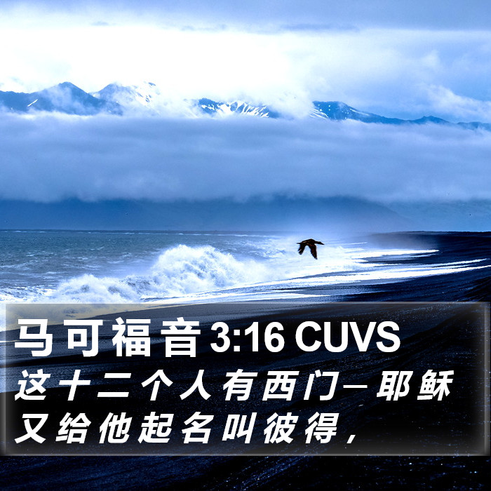 马 可 福 音 3:16 CUVS Bible Study