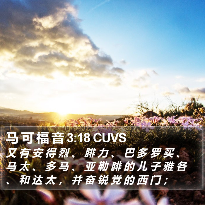 马 可 福 音 3:18 CUVS Bible Study