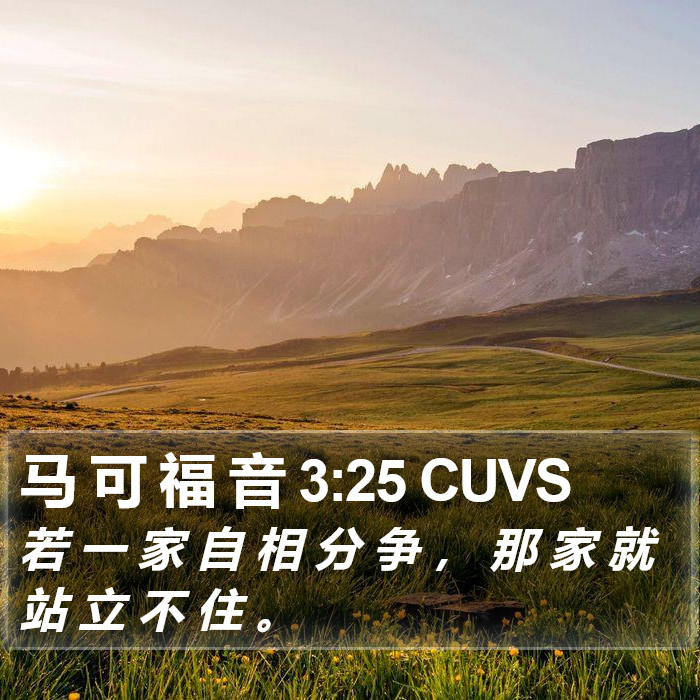 马 可 福 音 3:25 CUVS Bible Study