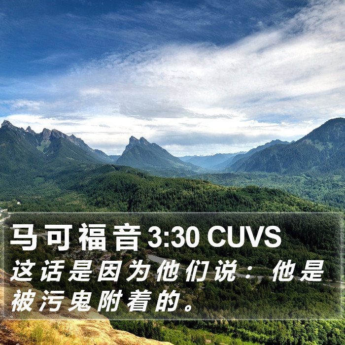 马 可 福 音 3:30 CUVS Bible Study