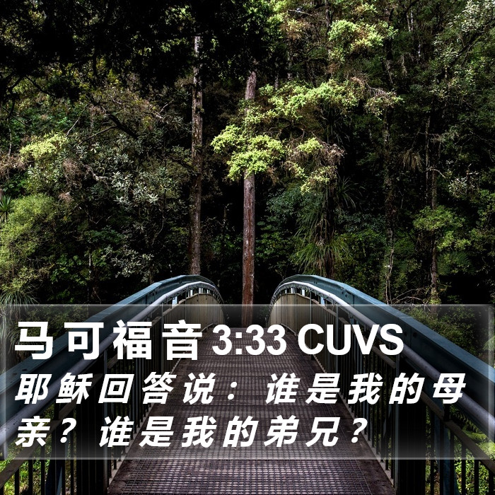 马 可 福 音 3:33 CUVS Bible Study