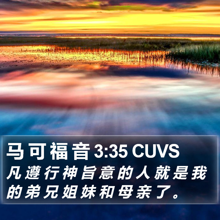 马 可 福 音 3:35 CUVS Bible Study