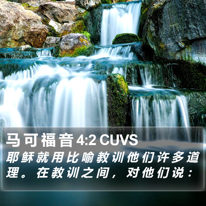 马 可 福 音 4:2 CUVS Bible Study