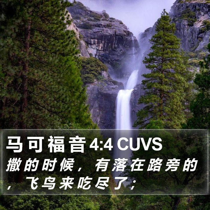 马 可 福 音 4:4 CUVS Bible Study