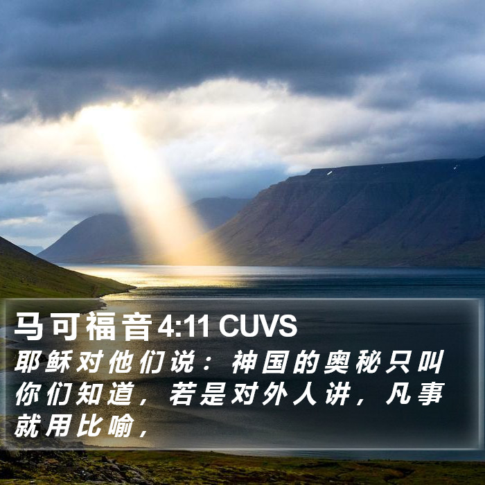 马 可 福 音 4:11 CUVS Bible Study