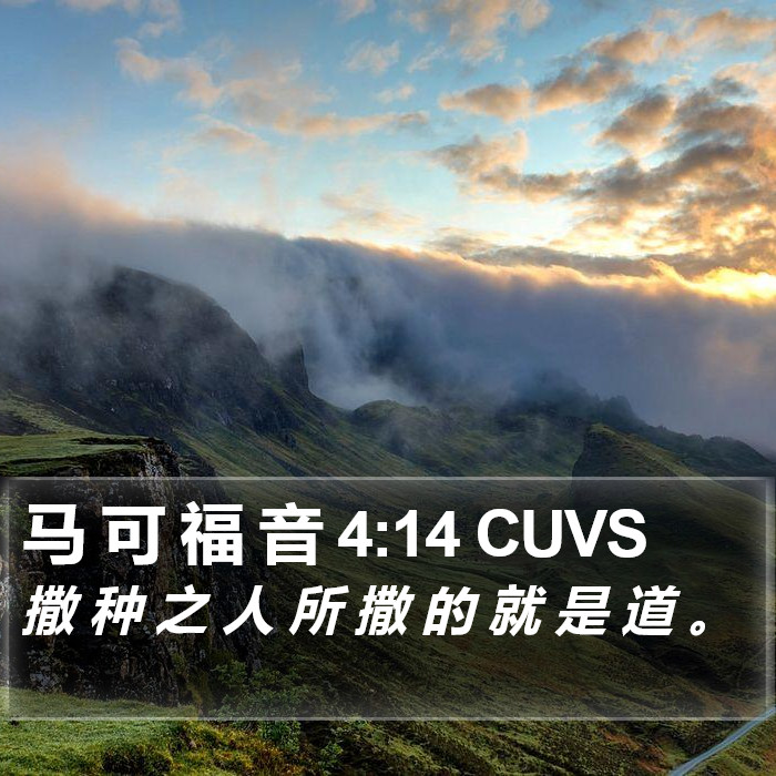 马 可 福 音 4:14 CUVS Bible Study