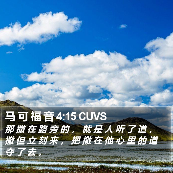 马 可 福 音 4:15 CUVS Bible Study