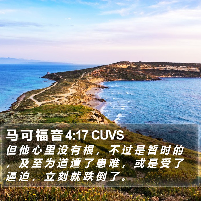 马 可 福 音 4:17 CUVS Bible Study