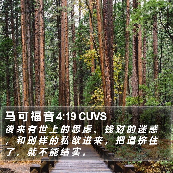 马 可 福 音 4:19 CUVS Bible Study