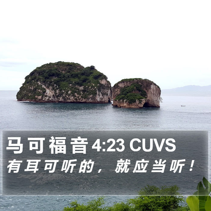 马 可 福 音 4:23 CUVS Bible Study