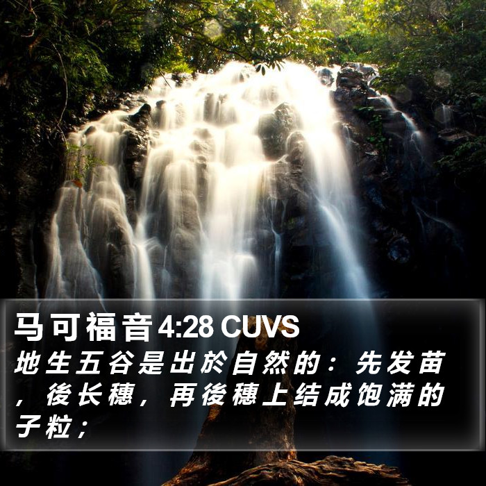 马 可 福 音 4:28 CUVS Bible Study