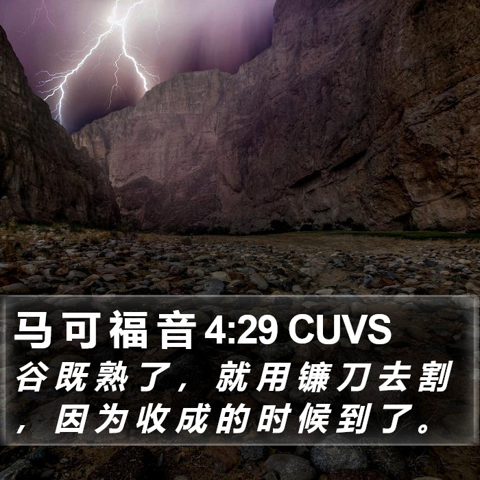 马 可 福 音 4:29 CUVS Bible Study