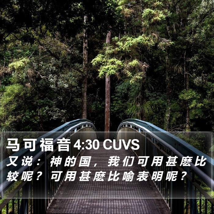 马 可 福 音 4:30 CUVS Bible Study