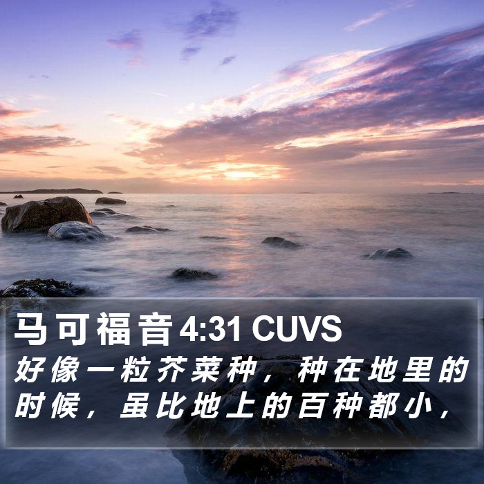 马 可 福 音 4:31 CUVS Bible Study
