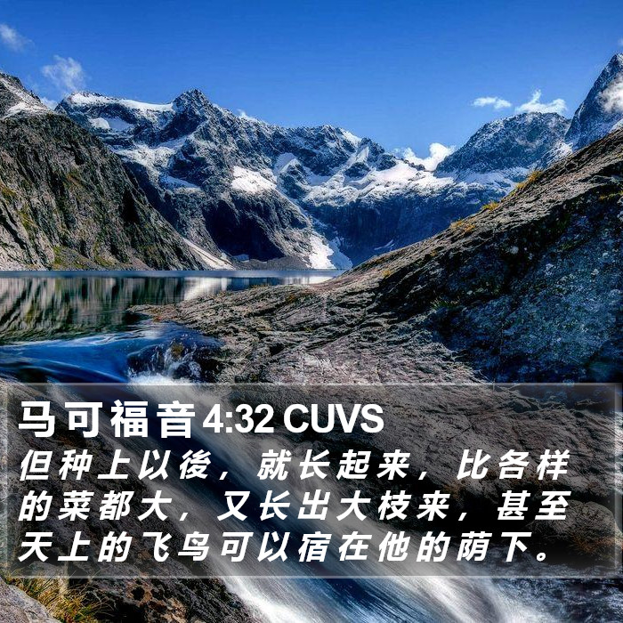 马 可 福 音 4:32 CUVS Bible Study