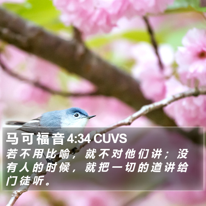 马 可 福 音 4:34 CUVS Bible Study