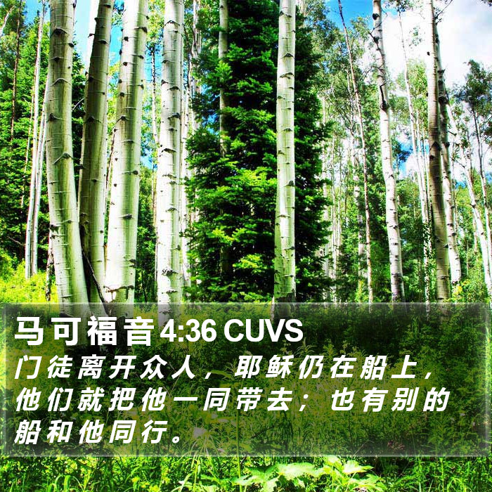 马 可 福 音 4:36 CUVS Bible Study