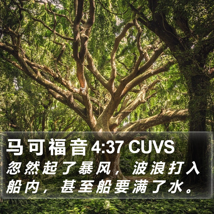 马 可 福 音 4:37 CUVS Bible Study