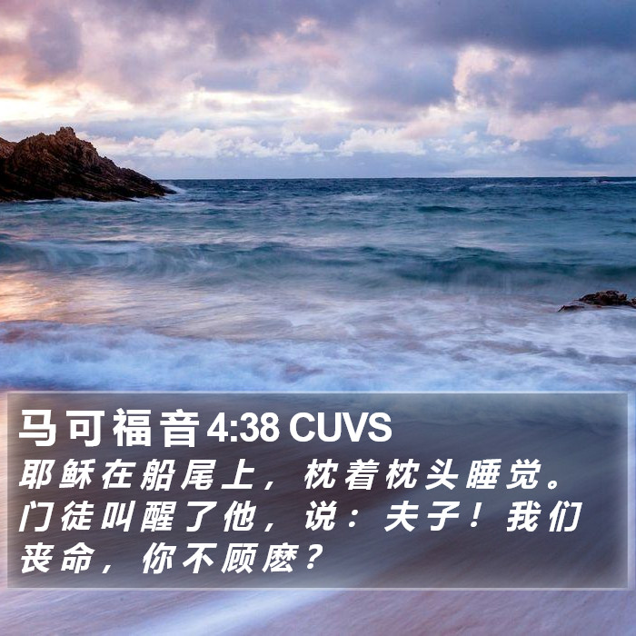 马 可 福 音 4:38 CUVS Bible Study