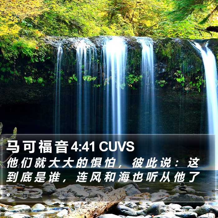 马 可 福 音 4:41 CUVS Bible Study