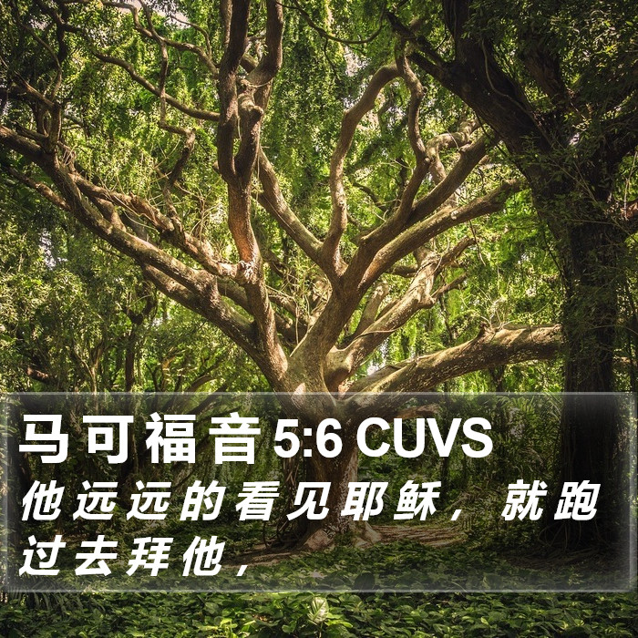 马 可 福 音 5:6 CUVS Bible Study