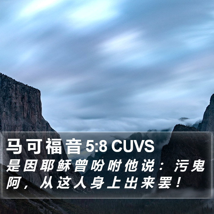 马 可 福 音 5:8 CUVS Bible Study