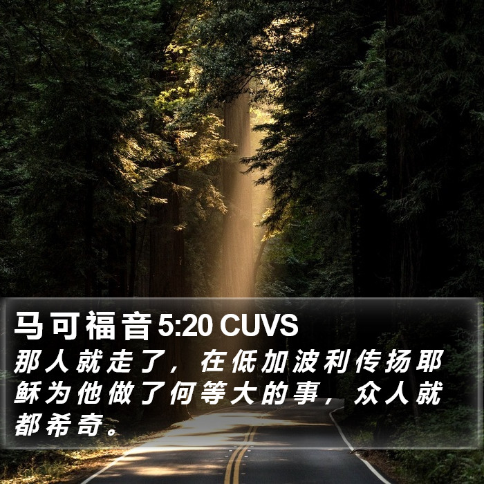 马 可 福 音 5:20 CUVS Bible Study