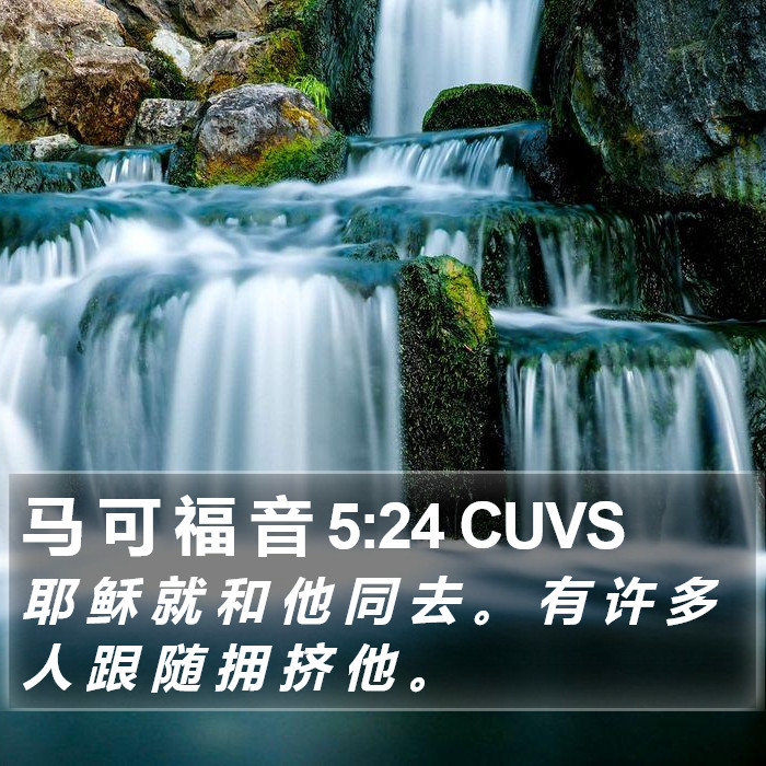 马 可 福 音 5:24 CUVS Bible Study